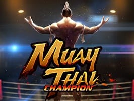 Muay Thai Champion
